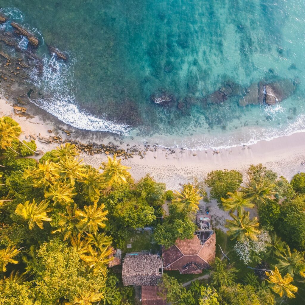 Bird Eye Photogrpahy of Beachline Beside Trees